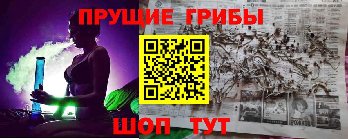 Псилоцибиновые грибы Psilocybe  Вход с VPN  Алатырь 