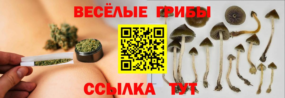 Галлюциногенные грибы мицелий Алатырь